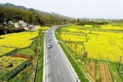 中国这么多城市都有一条“重庆路”！你走过哪条？