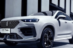 配运动套件 WEY VV7 GT巴博斯版将亮相