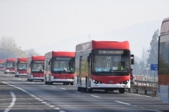 智利新增150台纯电动大巴  比亚迪市占率达65%