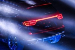 赛麟国有股东发文