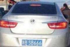 女司机摇到“666”车牌，前面2个字母哭笑不得：真不好意思挂