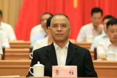 聚焦新四化与消费政策 这届两会汽车代表都提了什么建议？|汽车预言家