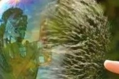 山河真如旧？戳穿狂欢假象
