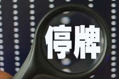 停牌后才让人知道的五龙电动车