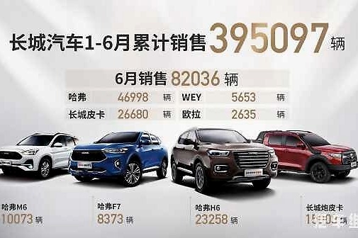 皮卡同比上涨48%！长城汽车上半年销量近40万辆