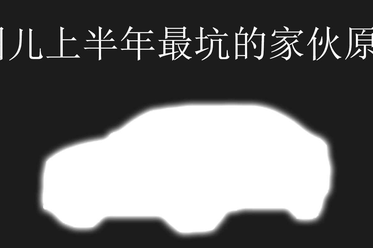 闲侃 | 汽车圈儿上半年最“坑”的家伙原来是它