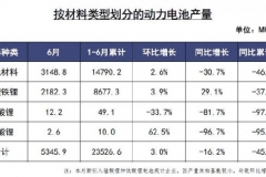 6月动力电池产量5.3GWh 磷酸铁锂产量同比增长29.1％