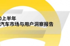 懂车帝：2020上半年中国汽车市场与用户洞察报告