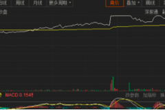 宁德时代、比亚迪股价齐创新高 新能源车又迎新起点？
