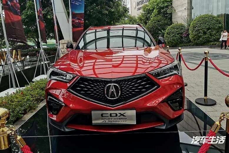 才相处了一天，就彻底爱上New CDX