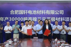 上半年业绩不佳，3万吨高镍三元正极材料项目能否“拯救”国轩高科