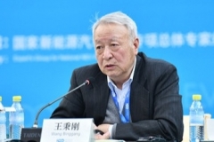 王秉纲：电动车鼓励政策需向中小城市和农村倾斜