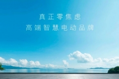 ​岚图汽车，东风的蔚来？