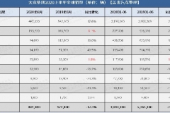 大众集团上半年全球销量逾389万辆 中国市场份额近20%