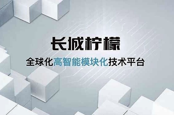 郑谊看车展（01）2020成都车展，长城汽车是最大赢家？