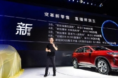 欧拉将调整品牌定位 推出更高级别纯电动车