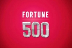 重磅丨天能连续八年入围《财富》中国500强，排名大幅跃升9位