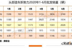 单店月均销量不到10辆，威马的销售渠道如何持续发展？