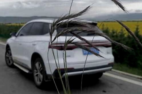 良心SUV，大牌品质却不足9万，驾驶6个月后，爱上国产车了