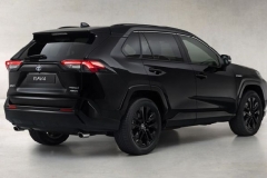 丰田RAV4混动特别版官图发布 10月正式交付