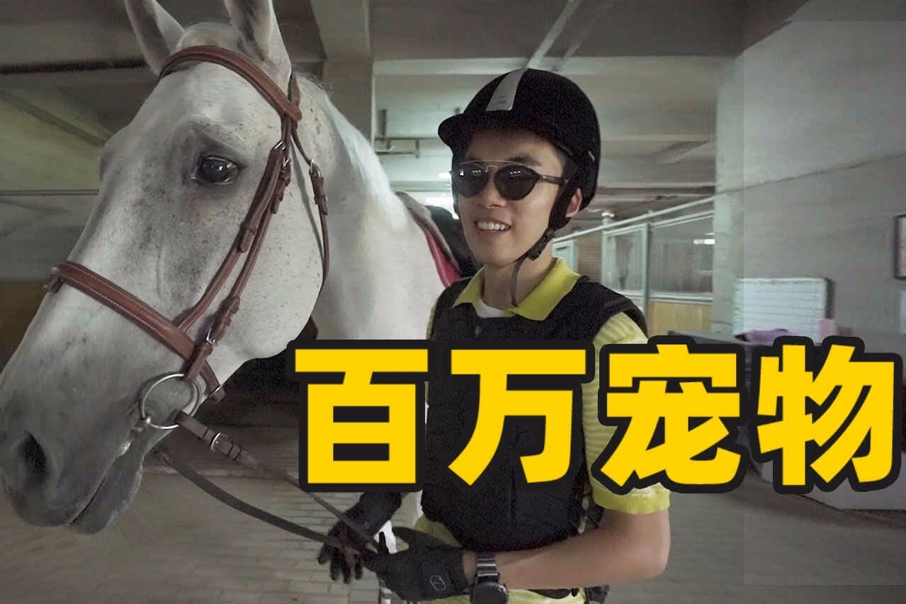 体验北京顶级马术俱乐部，解锁最绅士运动