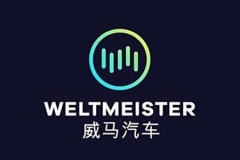 王鑫：淘汰是好事 威马汽车销量增长是“厚积薄发”