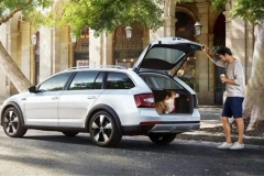 信仰=高价？关于思域HATCHBACK这些你得先了解
