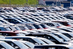 7月印度车市仅跌1% 登陆一年起亚销量超过10万辆 | 一句话点评
