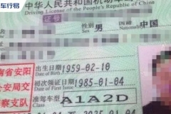 这个驾照才是真的“万能驾照”，中国没几个人有