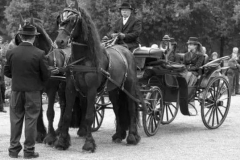 曾经英国贵族独享的车型，如今只卖30万？