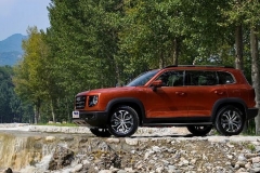 头灯酷似大G，硬派气质不输牧马人，这台国产车会大卖吗？