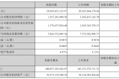 半年报：宁德时代营收和利润双下滑，储能业务为唯一亮点