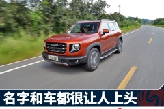 哈弗大狗：名字和车本身一样都很让人上头