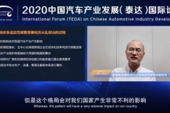 未来或将不存在主流汽车市场？