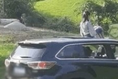 给老虎送餐？北京野生动物园内，女孩坐车顶游园