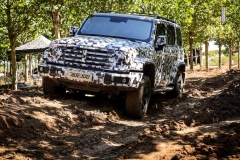 坦克300开放日 59D坦克同台 机车表演齐聚一堂