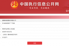 银隆新能源成被执行人 执行标的超300万