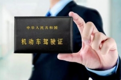 考驾驶证取消70岁年龄限制！老人会让交通事故增加吗