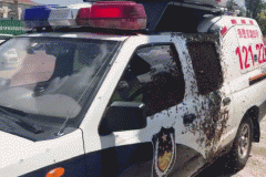 “妨碍执行公务”！宁波高速收费站，一辆警车被蜜蜂围攻！密密麻麻，有上万只……