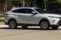 一大波新车降临北京车展，超过半数人都争着要买