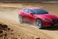 这几款中国特供车，老外看了都想买