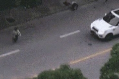 “碰瓷”犯了什么罪？这个意见来撑腰，最高可判死刑