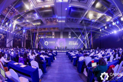 主零面对面，看铃轩奖花落谁家?