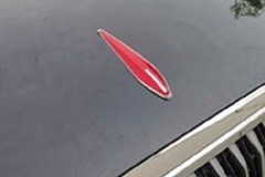 新款红旗H7申报信息曝光，三种动力供选择，可选扁旗标