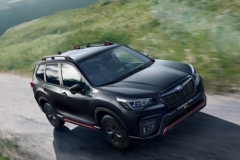 这几台进口车20多万就能买，动力强操控好，还看啥合资车？