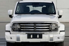 坦克300城市版曝光，价格或低于17万！网友：有戏