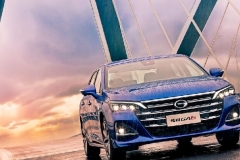 过年开这些家轿回家，父老乡亲夸你事业有成