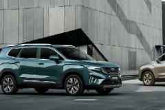 能坐7个人，再拉一头猪，只要十来万，过年回家就开它们