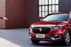 11月厂商销量总榜 月销量不到千辆的竟有29家？