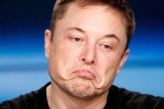 一年暴涨9倍的特斯拉，为华尔街贡献30万亿交易量